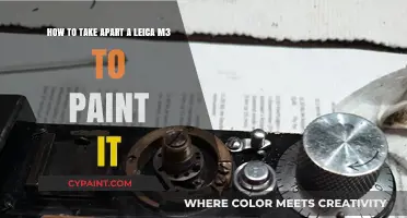 Disassembling a Leica M3: A Step-by-Step Guide for Custom Painting