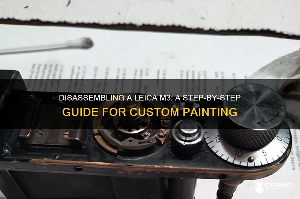 how to take apart a leica m3 to paint it