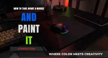 Customizing Your Mouse: Taking Apart and Painting