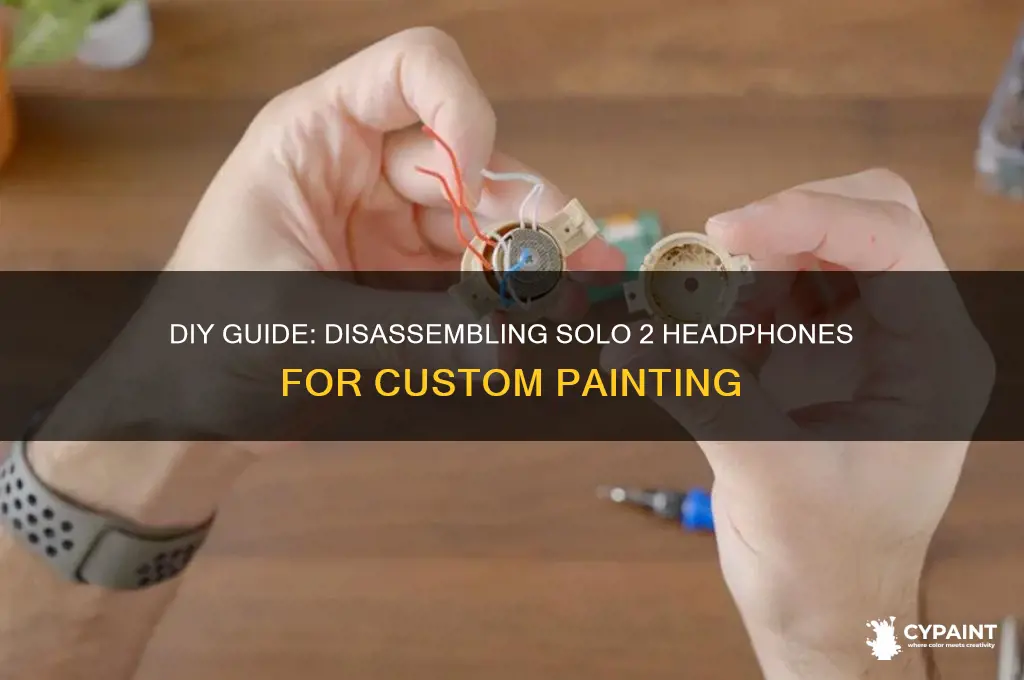 how to take apart solo 2 to paint