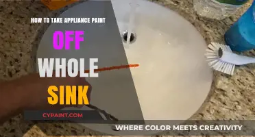 Effective Methods to Remove Appliance Paint from Your Entire Sink