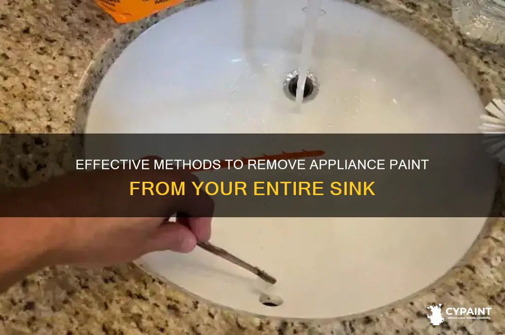 how to take appliance paint off whole sink
