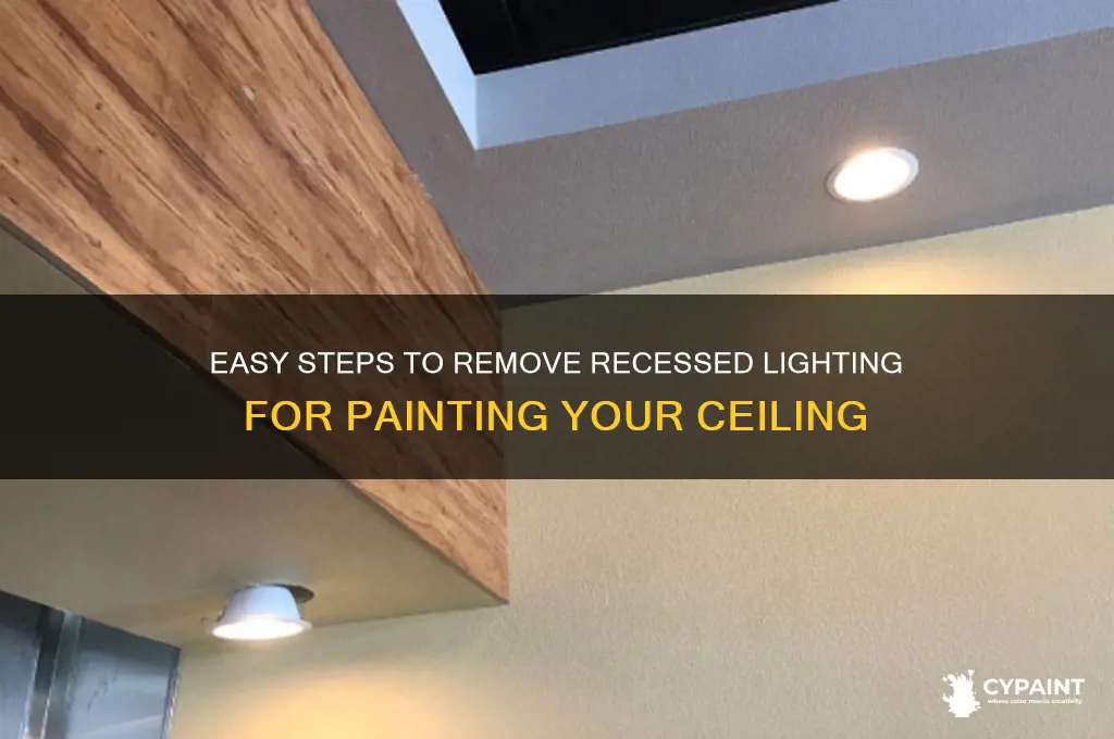 how to take down recessed lighting to paint