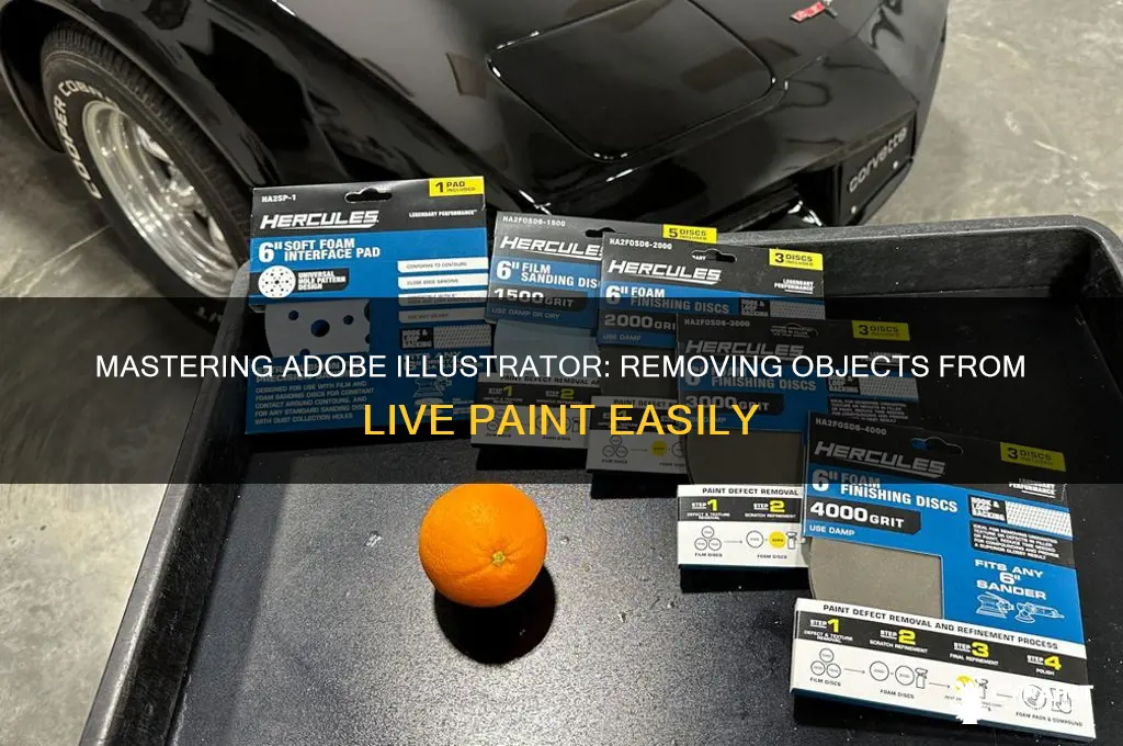 how to take objesct our of live paint