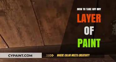 Effective Techniques to Remove Dry Paint Layers Easily and Safely