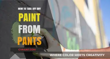 Effective Methods to Remove Dry Paint Stains from Your Pants