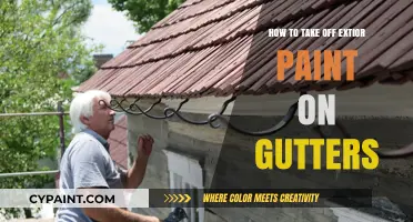 Effective Methods to Remove Exterior Paint from Gutters Easily