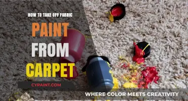 Effective Methods to Remove Fabric Paint Stains from Your Carpet