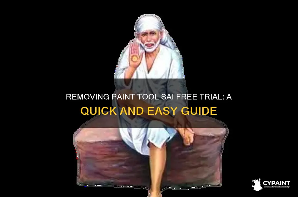 Removing Paint Tool Sai Free Trial: A Quick And Easy Guide | CyPaint