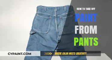 Effective Methods to Remove Paint Stains from Your Pants Easily