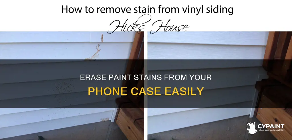 how to take off paint stains off phone case