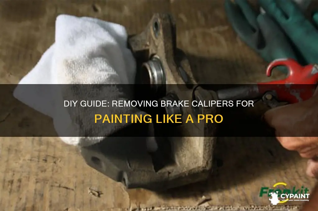 how to take out brake caliper to paint