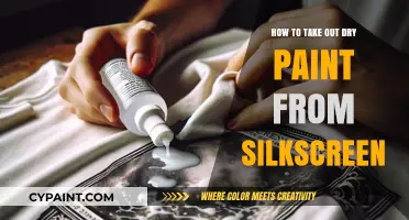 Effective Techniques to Remove Dry Paint from Silk Screen Easily