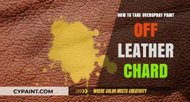 Effective Methods to Remove Overspray Paint from Leather Surfaces