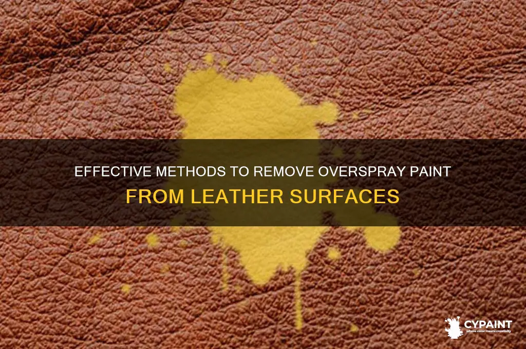how to take overspray paint off leather chard