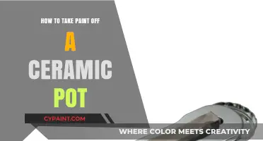 Effective Methods to Remove Paint from Ceramic Pots Easily