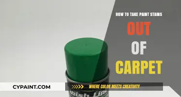 Effective Tips to Remove Paint Stains from Your Carpet Easily