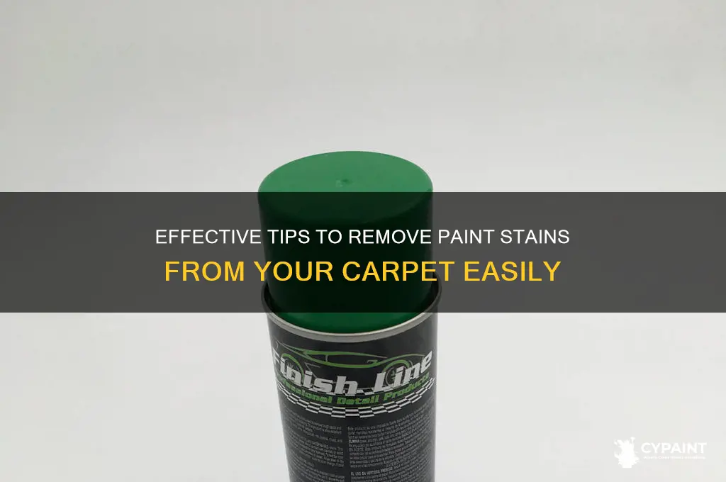 how to take paint stains out of carpet