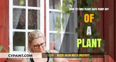 Safely Removing Paint from Plants: A Step-by-Step Guide