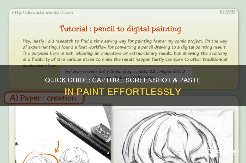 how to take screenshot and paste in paint