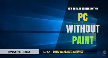Easy Ways to Capture Screenshots on PC Without Using Paint