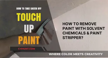 Removing Sheen from Touch-Up Paint: Easy Techniques for a Seamless Finish