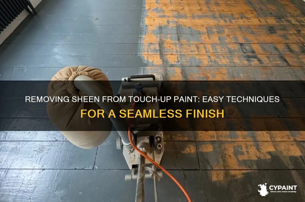 how to take sheen off touch up paint