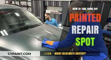 Effective Techniques to Blend and Mattify Painted Repair Spots