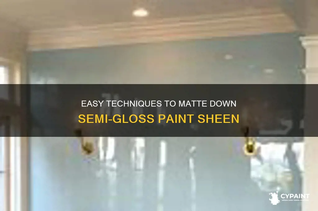 how to take shine off semi gloss paint