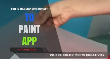Quick Guide: Capture Screenshots & Transfer to Paint App Easily