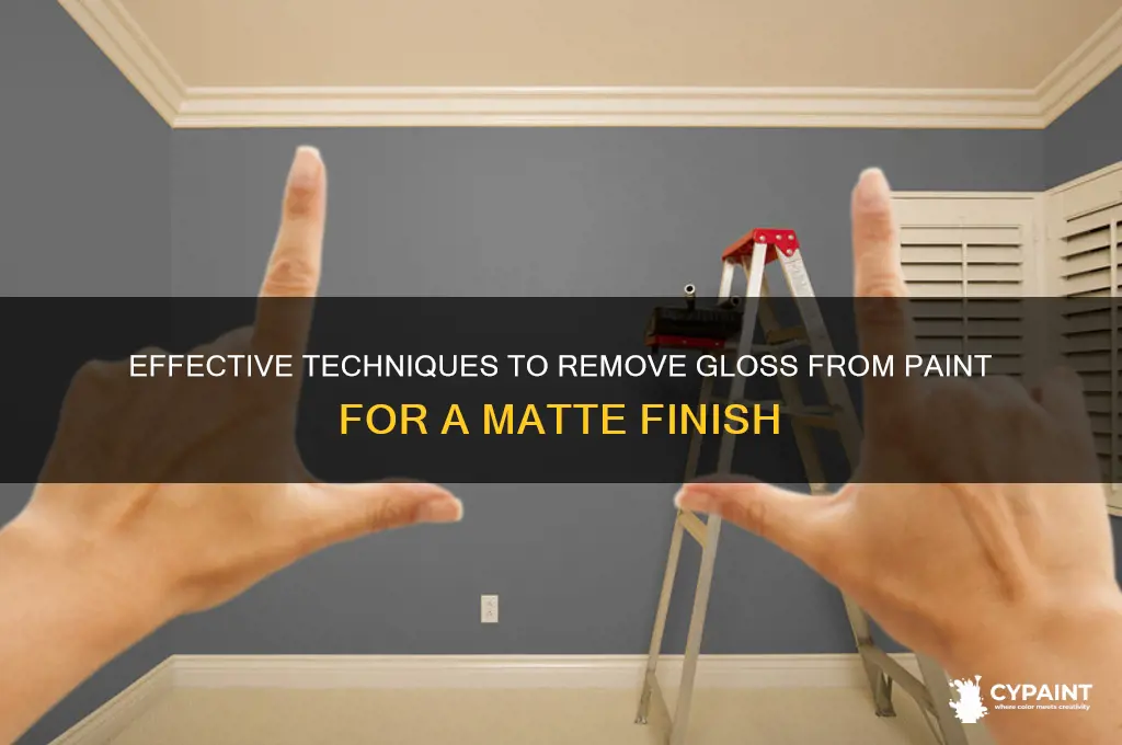 how to take the gloss out of paint