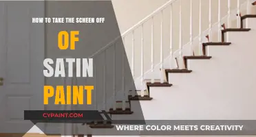 Simple Steps to Remove Sheen from Satin Paint