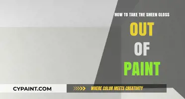 Easy Ways to Remove Sheen from Glossy Paint