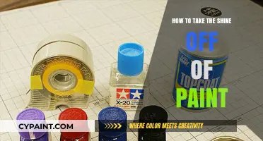 Effective Techniques to Remove Shine from Painted Surfaces