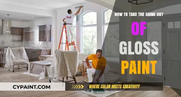 Quickly Dull Down Gloss Paint With These Simple Tricks