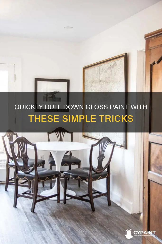 how to take the shine out of gloss paint