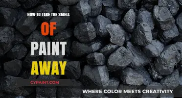 Effective Tips to Eliminate Paint Odor Quickly and Naturally