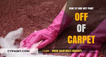 Quickly Remove Wet Paint from Carpet: Effective DIY Cleaning Tips