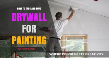 Mastering Drywall Taping and Mudding for a Seamless Paint Finish