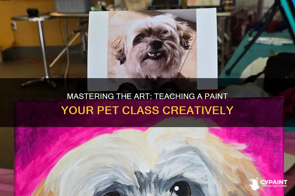 how to teach a paint your pet class