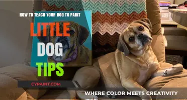 Creative Canine Art: Teaching Your Dog to Paint with Fun Tips