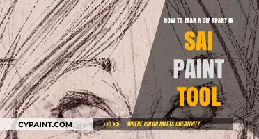Mastering SAI Paint Tool: Dissecting and Editing GIFs Step-by-Step
