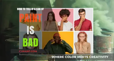 Is Your Paint Still Good? Signs of a Bad Paint Can