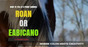 Identifying Roan or Eabicano Genes in Your Paint Horse's Coat