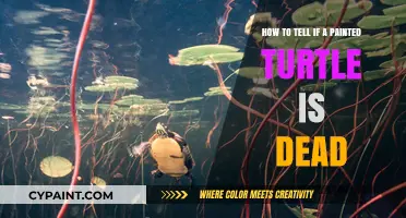Signs of Death in Painted Turtles
