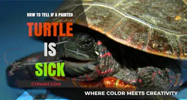 Signs Your Painted Turtle is Sick