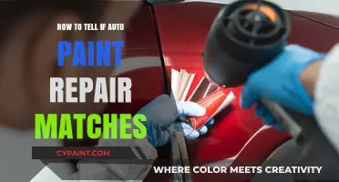 Perfect Match: How to Tell If Auto Paint Repair Blends Seamlessly