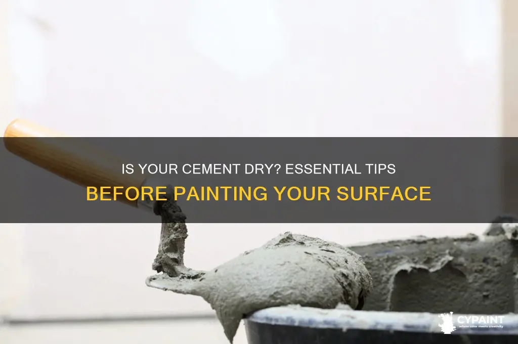 how to tell if cement dry before painting