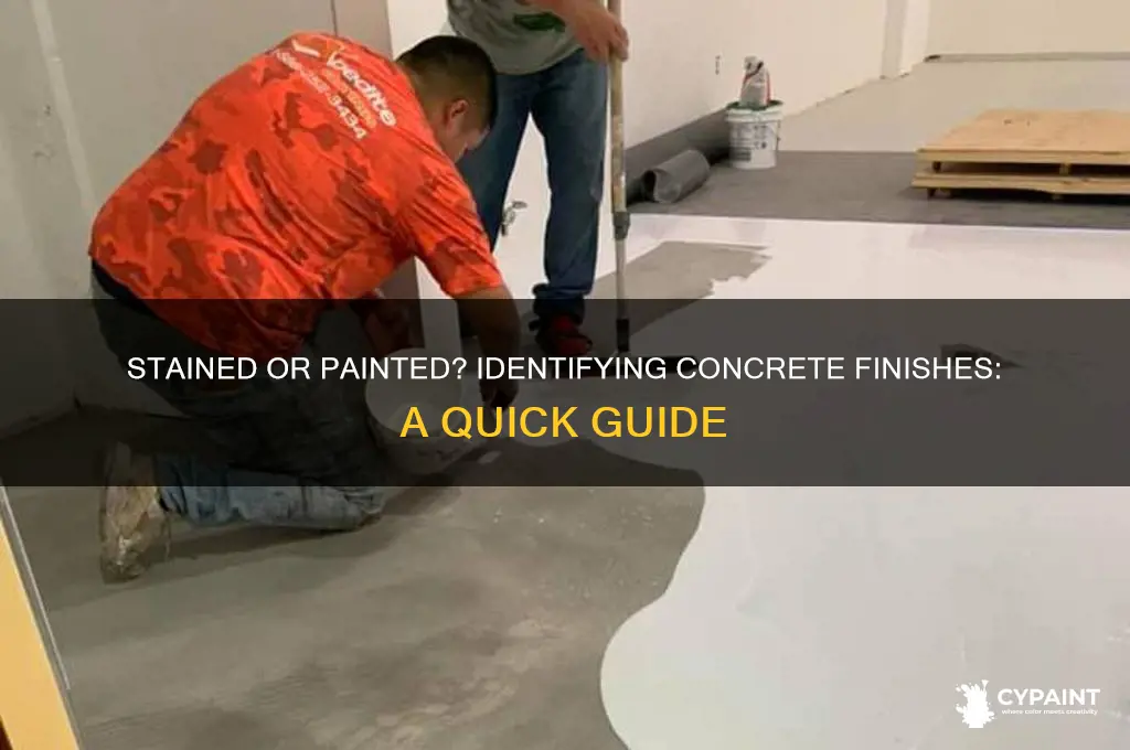 how to tell if concrete has been stained or painted