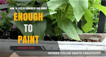 When to Paint Concrete: Signs It's Dry and Ready for Color